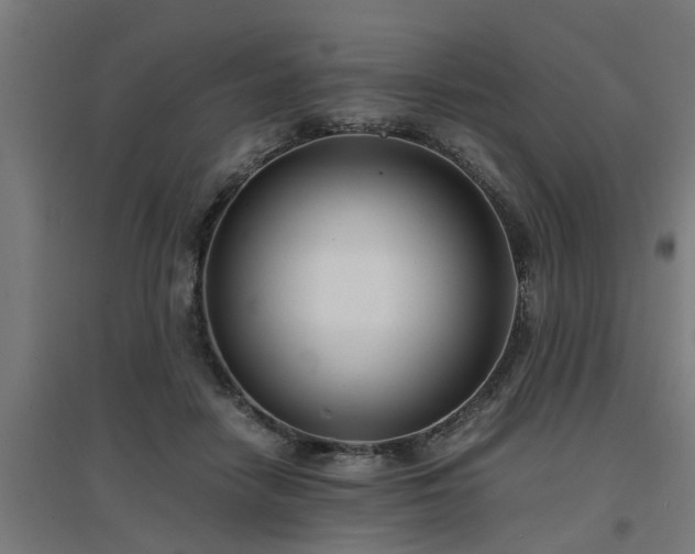 X0000094970458200712061432