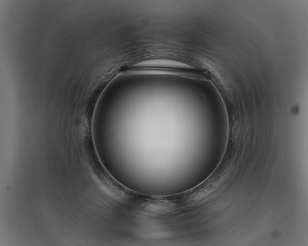 X0000094970459200712061432