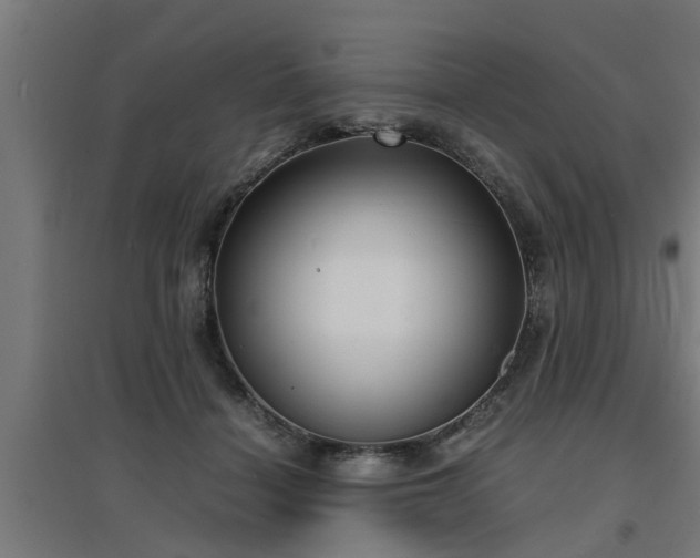 X0000094970460200712061432