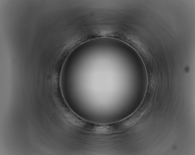 X0000094970461200712061432