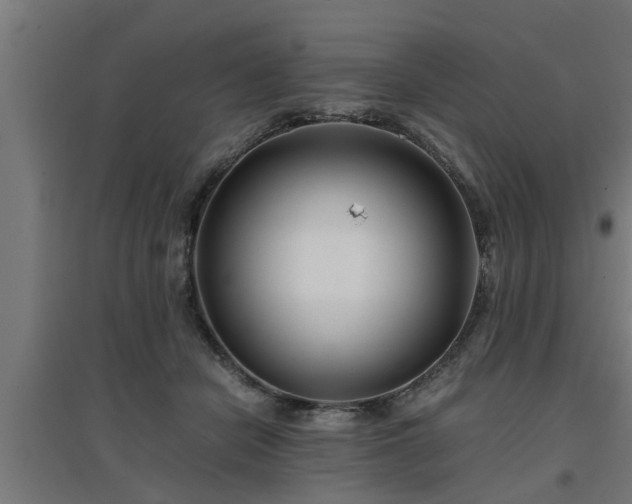 X0000094970462200712061432