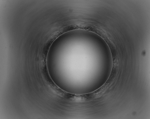 X0000094970464200712061432