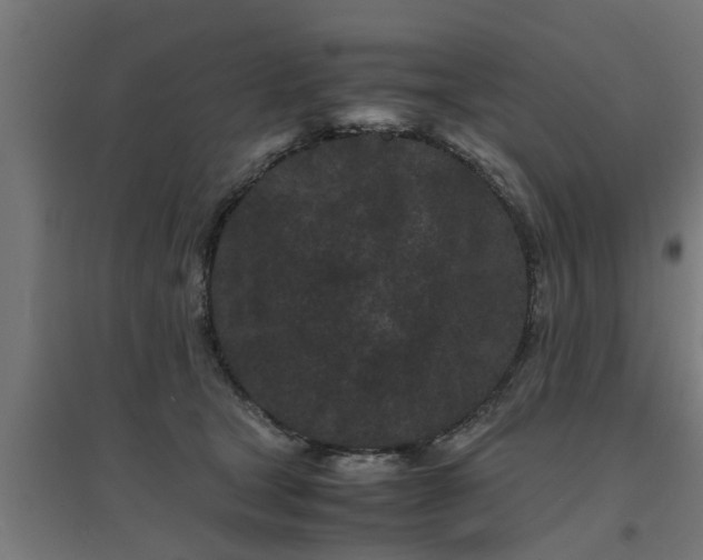 X0000094970465200712061432