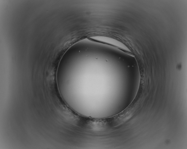 X0000094970466200712061432