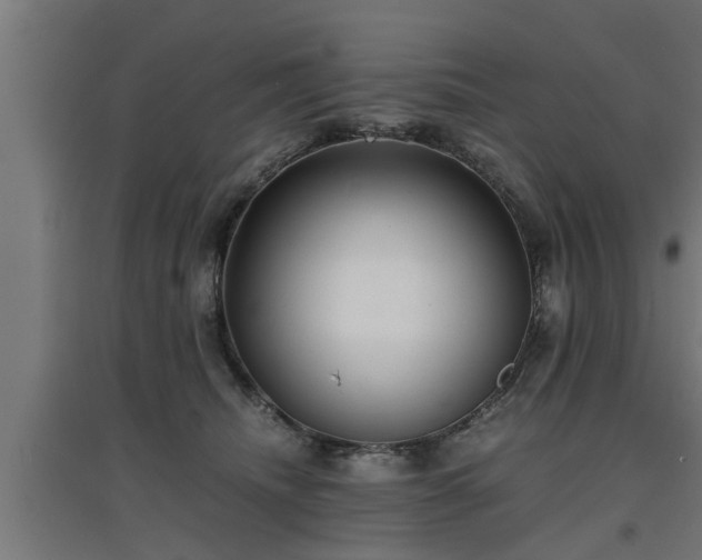 X0000094970468200712061432