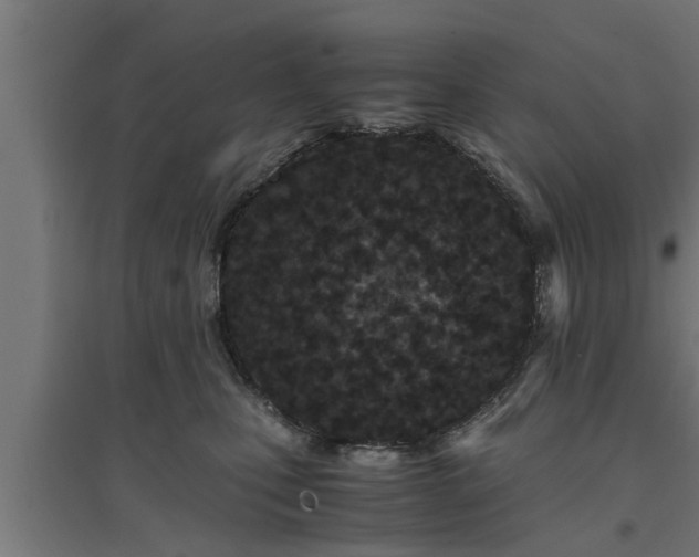 X0000094970471200712061432