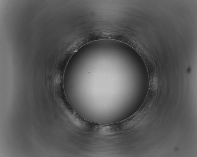 X0000094970472200712061432