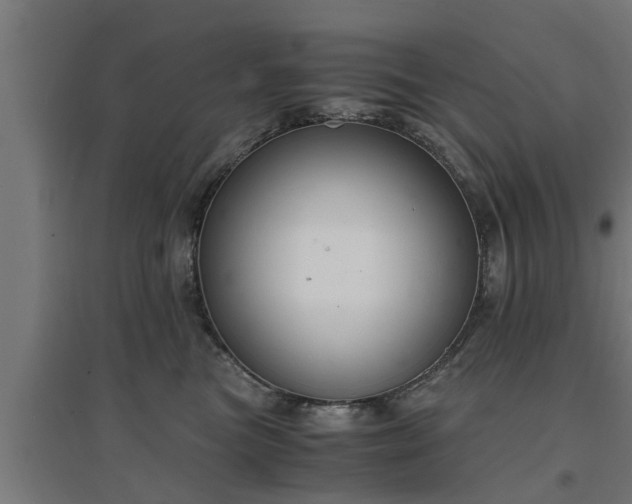 X0000094970473200712061432