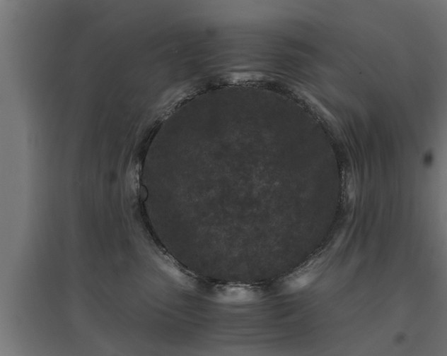 X0000094970475200712061432