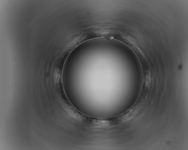 X0000094970476200712061432