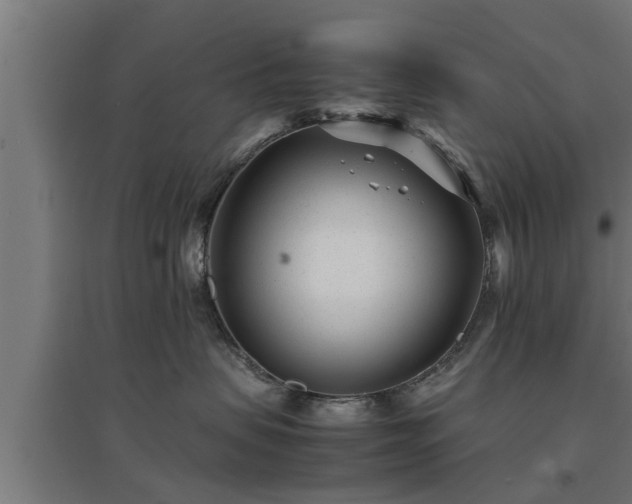 X0000094970479200712061432