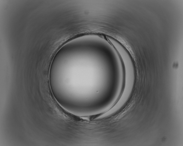 X0000094970481200712061431