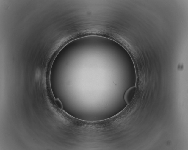 X0000094970482200712061431