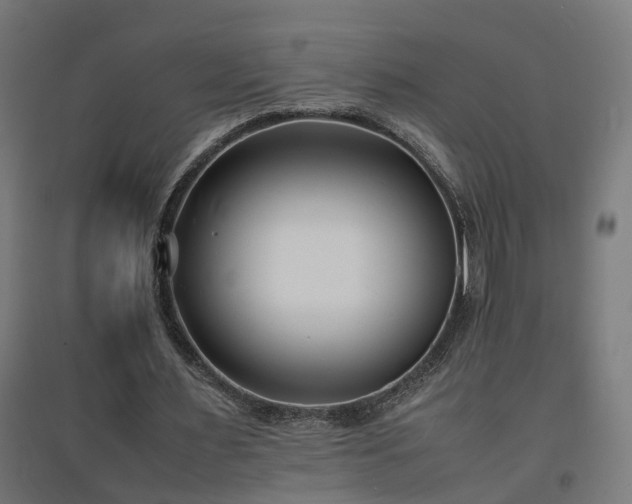 X0000094970483200712061431