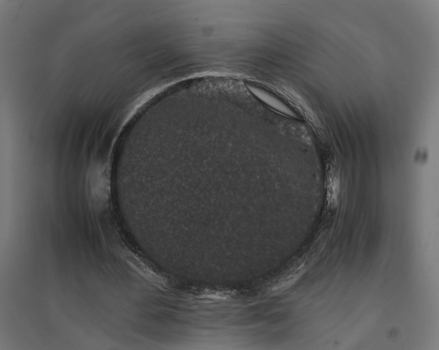 X0000094970484200712061431