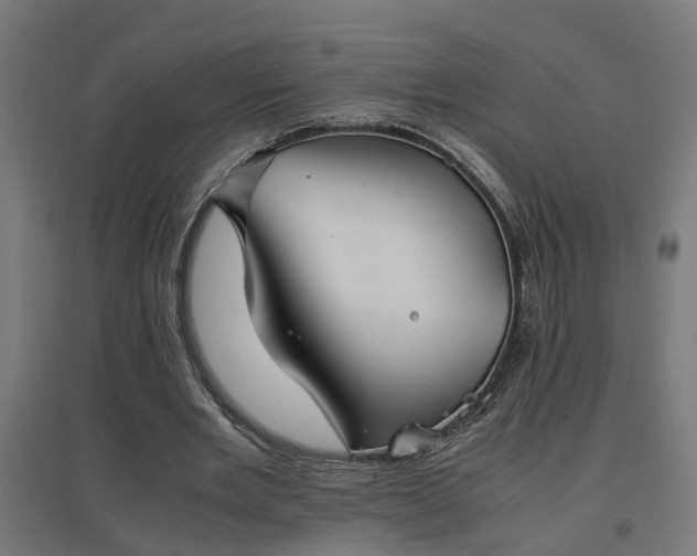 X0000094970485200712061431