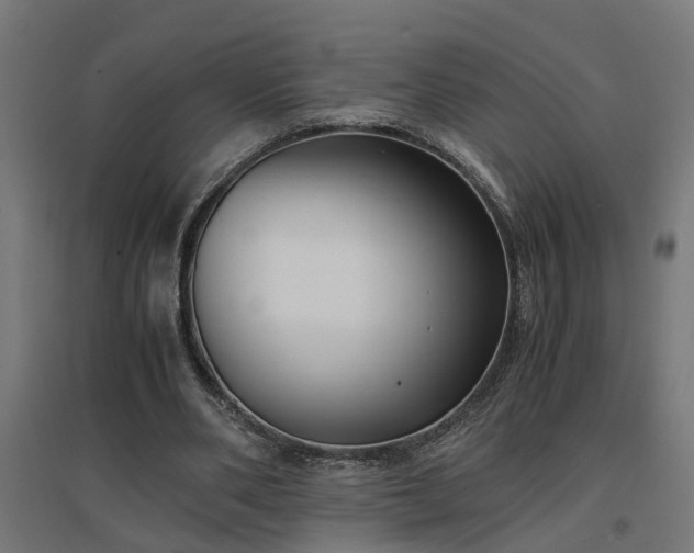 X0000094970486200712061431