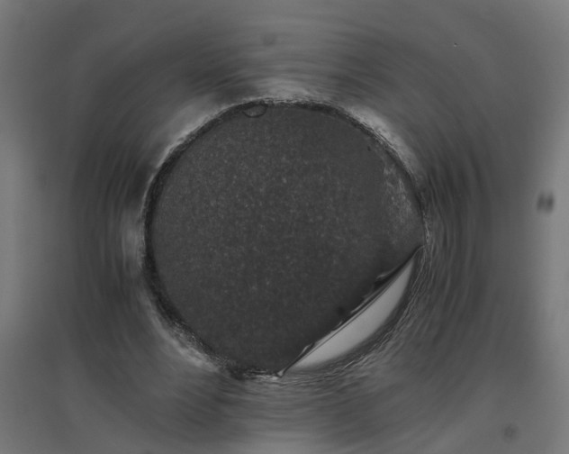 X0000094970488200712061431