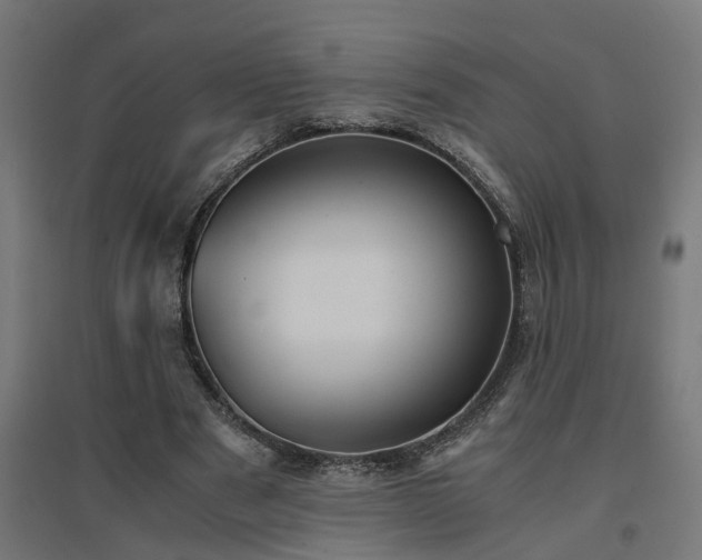 X0000094970489200712061431