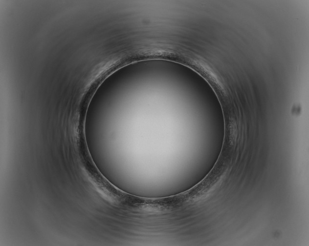 X0000094970490200712061431