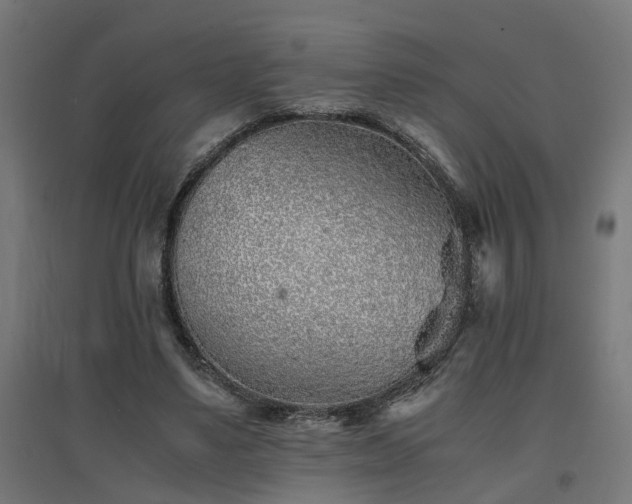 X0000094970491200712061431