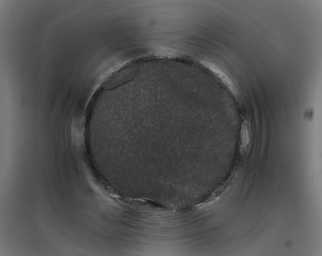 X0000094970492200712061431