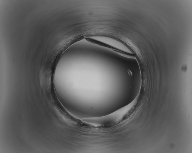 X0000094970493200712061431