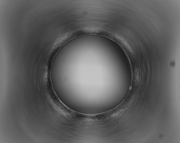 X0000094970494200712061431