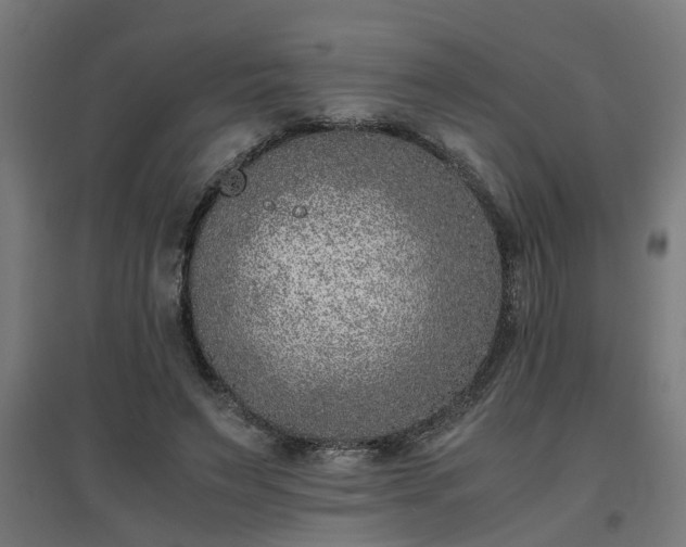 X0000094970495200712061431