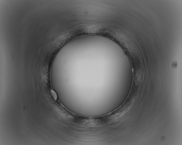 X0000094970497200712061431