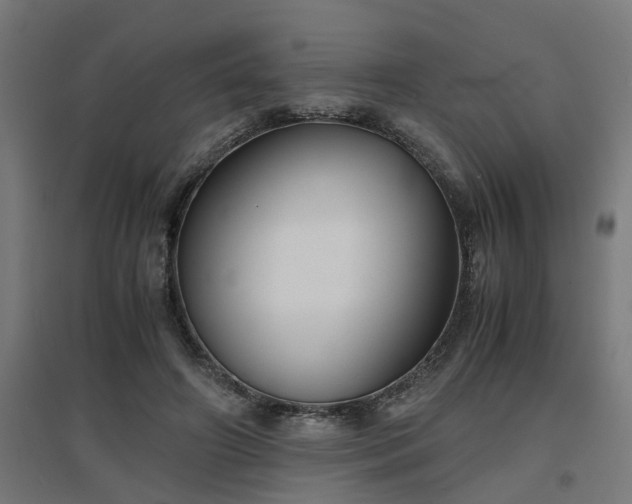 X0000094970498200712061431