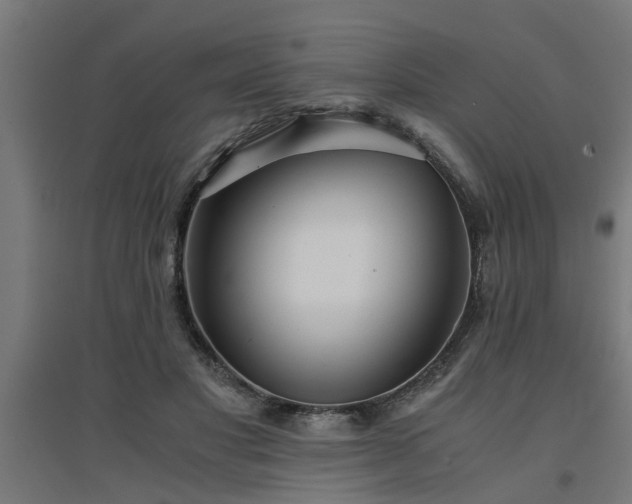 X0000094970501200712061431