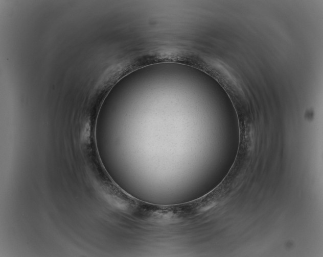 X0000094970502200712061431