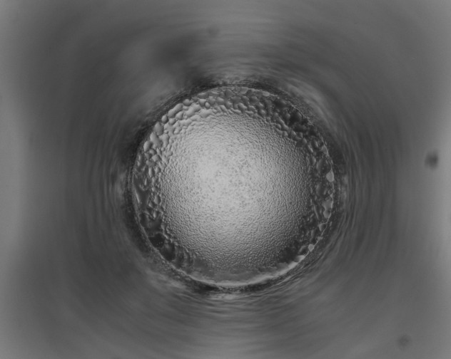 X0000094970503200712061431