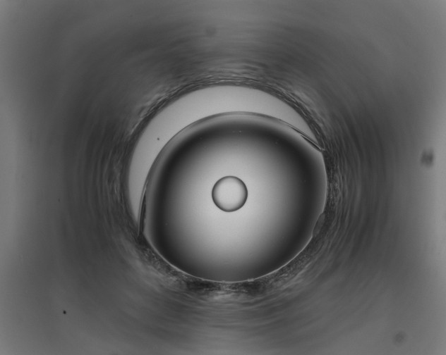 X0000094970504200712061431