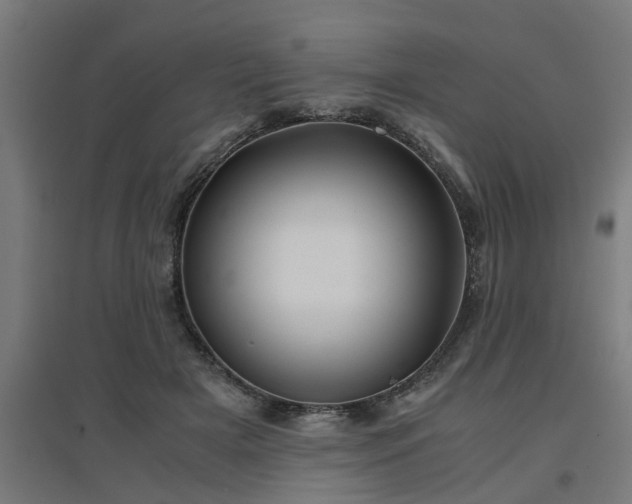 X0000094970505200712061431