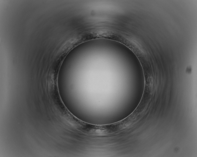 X0000094970506200712061431