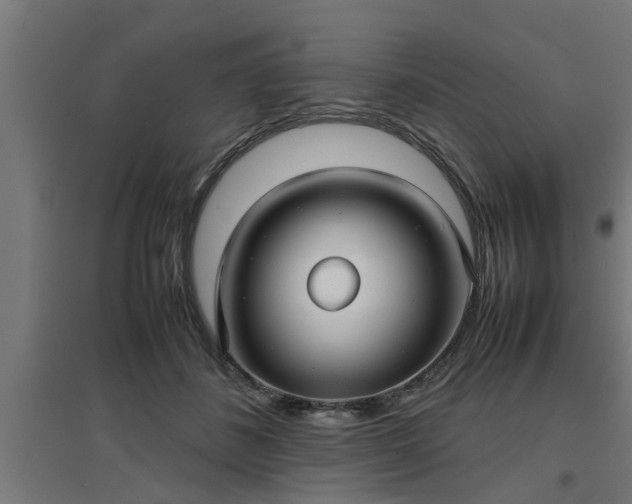 X0000094970508200712061431