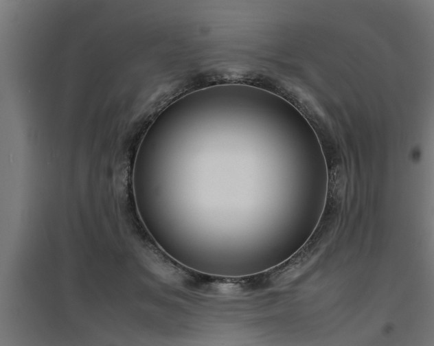 X0000094970509200712061431