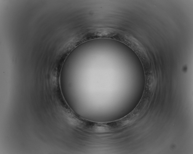 X0000094970510200712061431