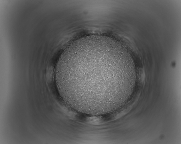 X0000094970511200712061431