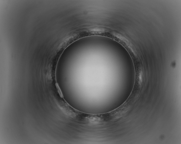 X0000094970512200712061431