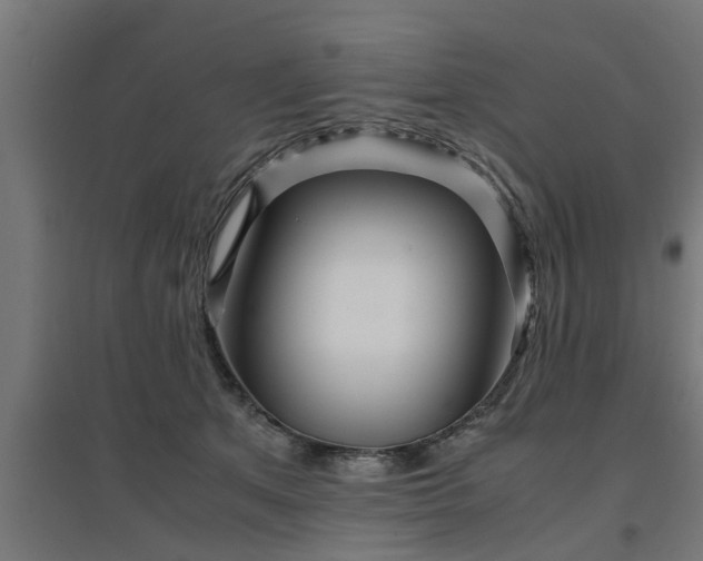 X0000094970513200712061431