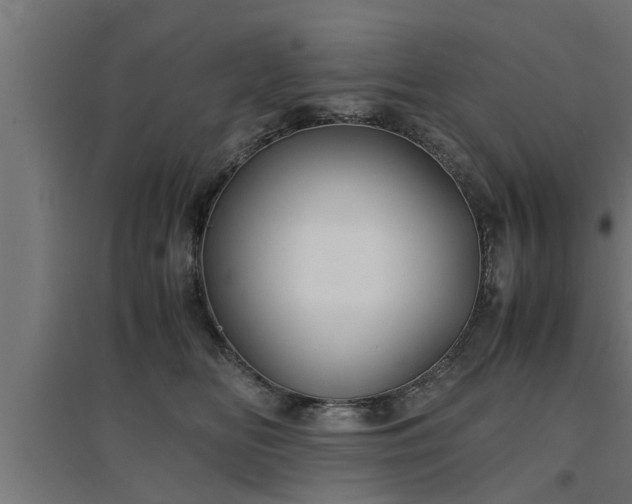 X0000094970518200712061431