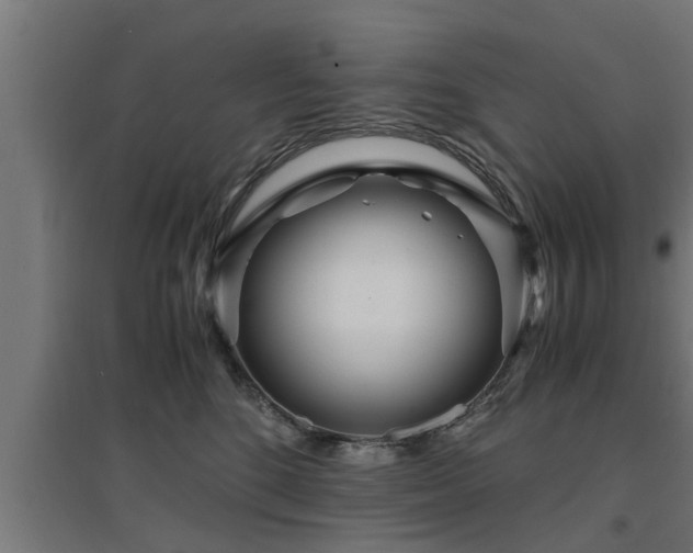 X0000094970520200712061431