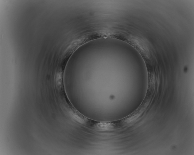 X0000094970526200712061431