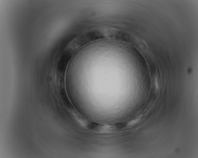 X0000094970527200712061431