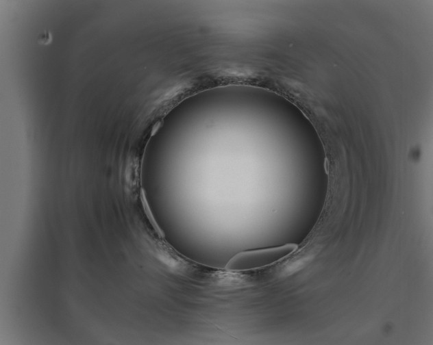 X0000094970528200712061431