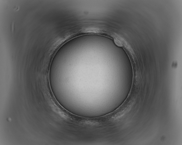 X0000094970529200712061430