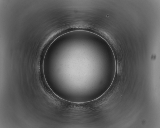 X0000094970531200712061430